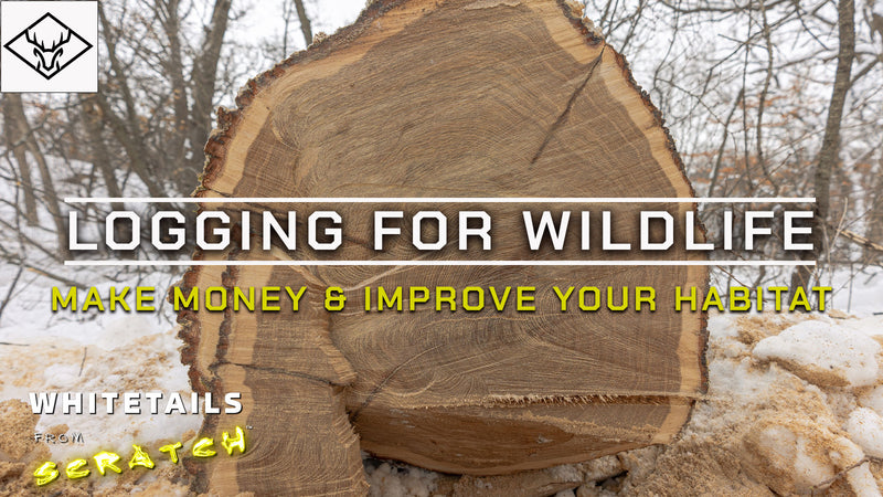 Logging For Wildlife | Big CHANGES + MONEY + HABITAT...