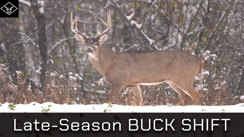 Late Season "BUCK SHIFT" | RUT or FOOD? That is the question...