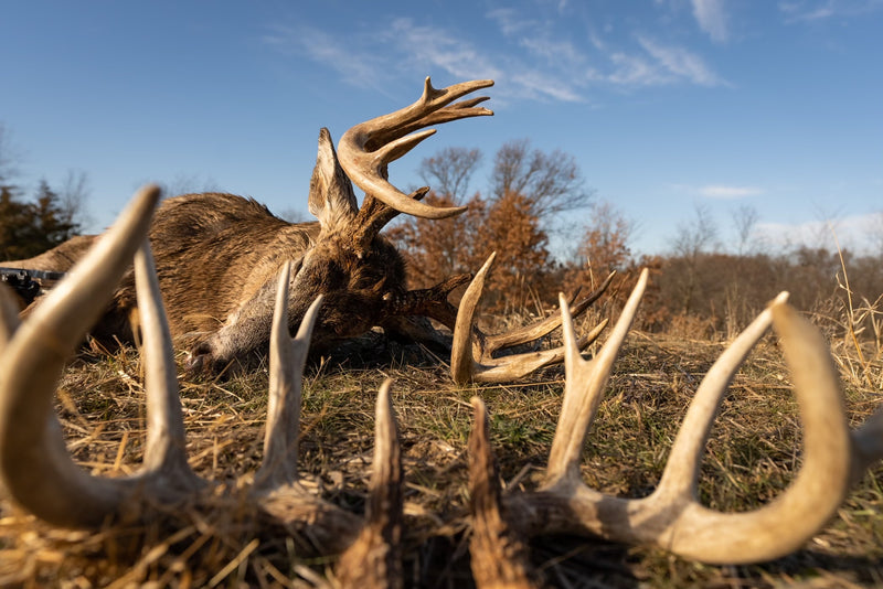 Deer Society Hunt Breakdowns | 2022 Highlights and RECAP!