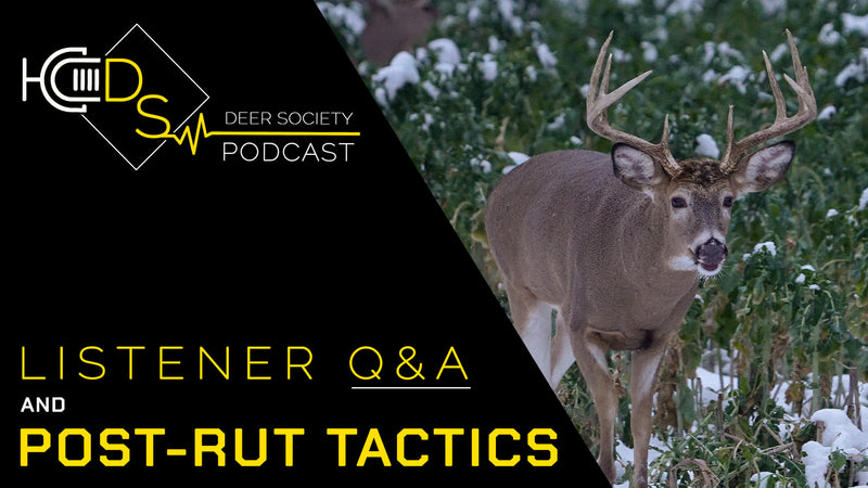 Post-Rut "SHIFT" | Q&A, #1 Late Season Food, Hunting Tactics...
