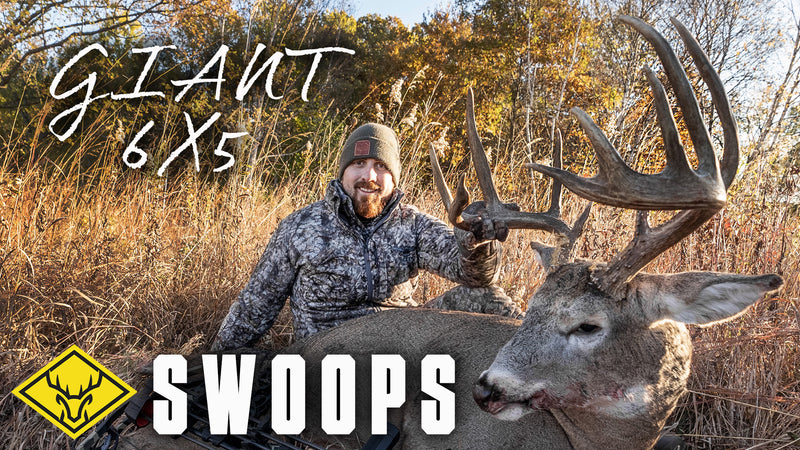 SWOOPS | GIANT 6X5, Hang & Hunt the October Lull...