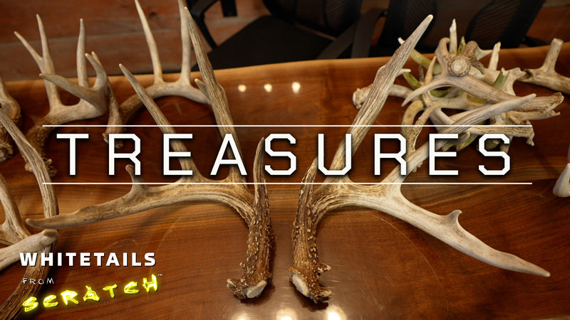 TREASURES | Big Shed Antlers and Target Bucks!