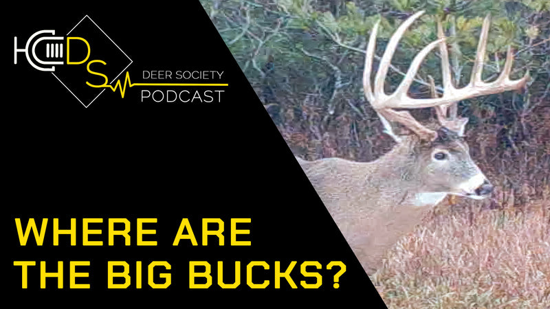 WHERE are the BIG BUCKS?! Here is our take...