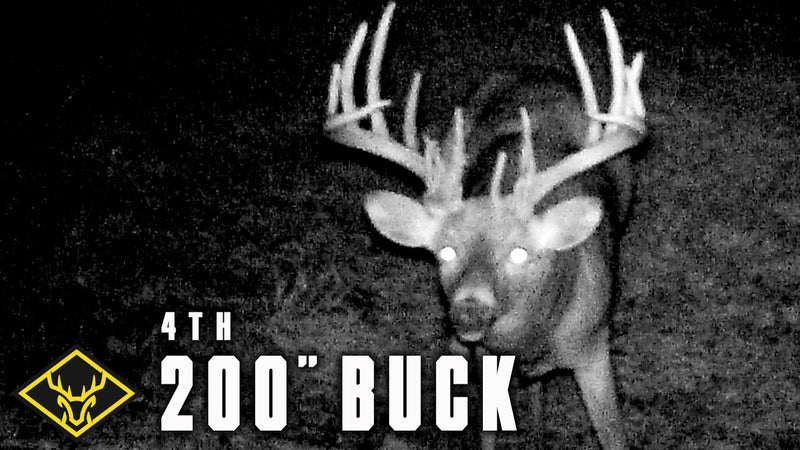 The Hunt for #4 (200 inch Buck) - Part 1