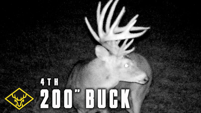 The Hunt For #4 (200" Buck) - Part 2