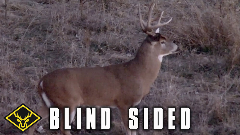 The 'BLIND SIDE' Buck