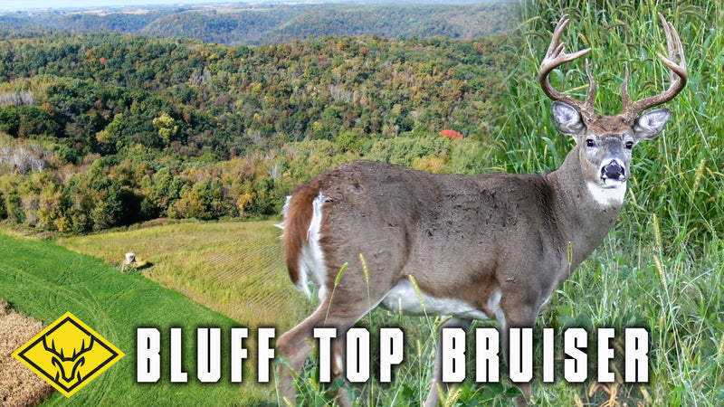 Bluff Top Bruiser | 3 TACTICS take down the "BIG 11" in MN...