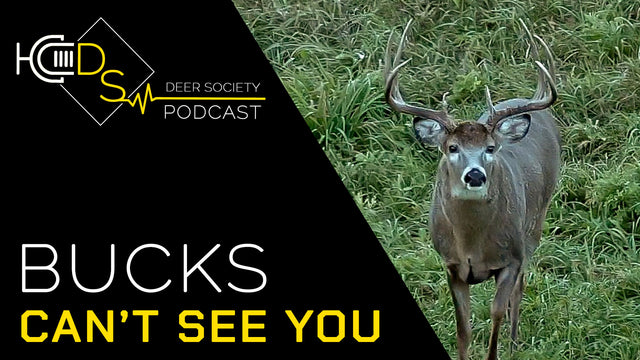 Bucks CAN'T SEE YOU | Concealment and Comfort w/ Joe Miles...