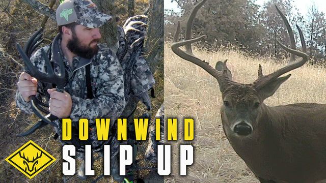 Downwind SLIP-UP | Big Buck circles Directly Down Wind...