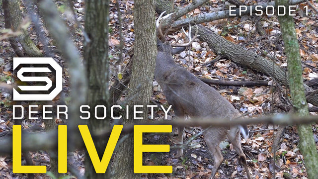 Deer Society LIVE : Horizontal Rub & Scrape
