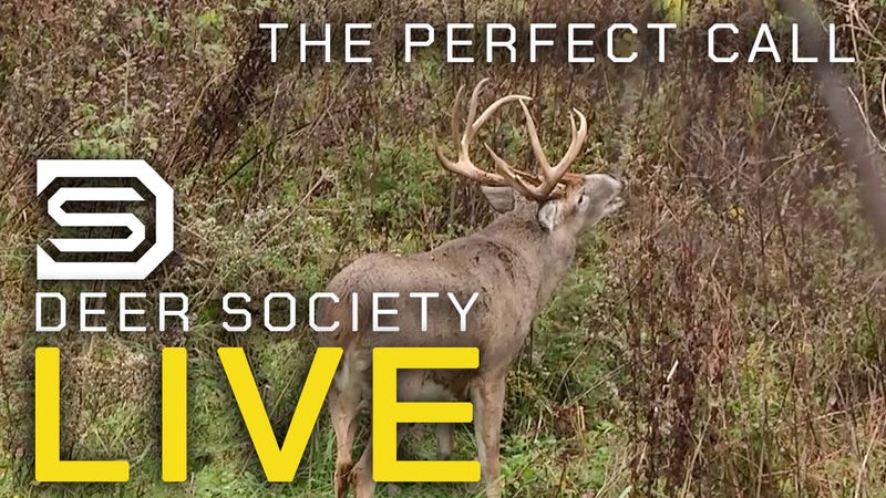 The PERFECT Call | Doe Estrous bleat TURNS a 160" Buck!