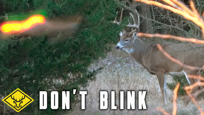 DON'T BLINK | OLD Kansas Buck Charges in FAST!