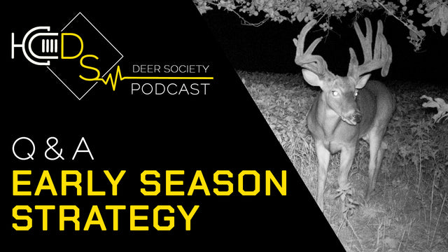 Early Season Q&A #2 | Big Buck Hunting NOW!