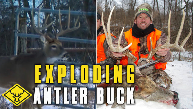 EXPLODING Antler Buck | FLYING Antlers and a Big Buck DROPPED!