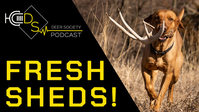 FRESH Sheds | We are on the BOARD!