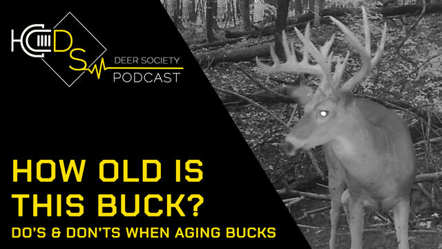 AGING DEER | How OLD is this Buck??