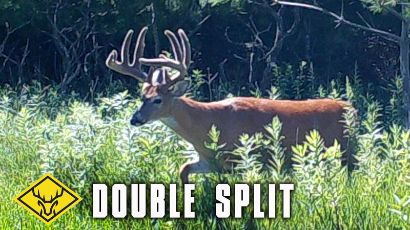 Double Split - Cracking the Code on a Big Buck!