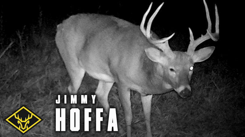 The Hunt for "Jimmy Hoffa"