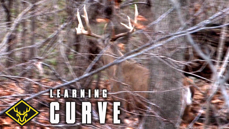 The 'Big Buck' Learning Curve