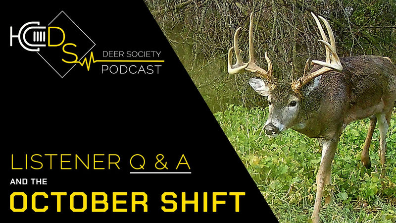 The October "SHIFT" | Q&A, Pre-Rut, Food Plots, Hunting Tactics...