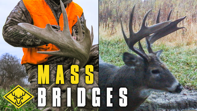 MASS Bridges | The final chapter of a 7.5 year old Warrior!