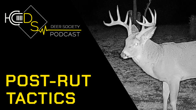 Post-Rut TACTICS | Where should you hunt NOW?!