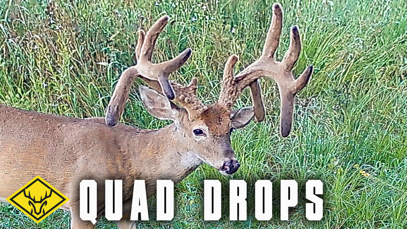 QUAD DROPS | Highs and Lows of Hunting GIANT Bucks...