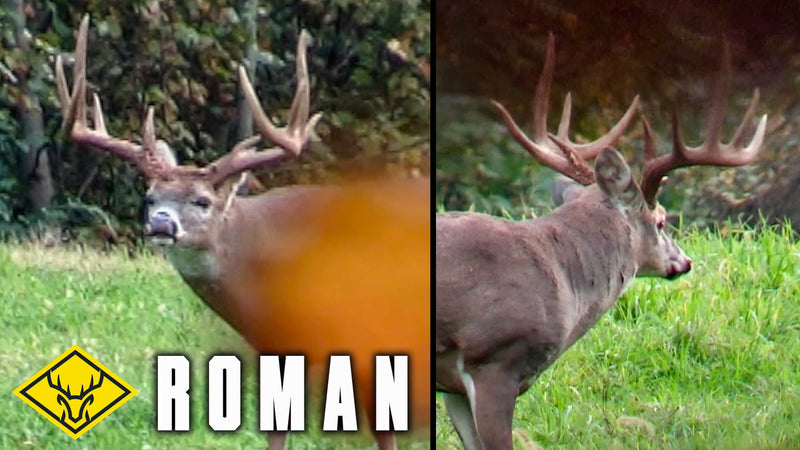 "ROMAN" | The QUEST for a 6.5 year old OH Giant Whitetail...