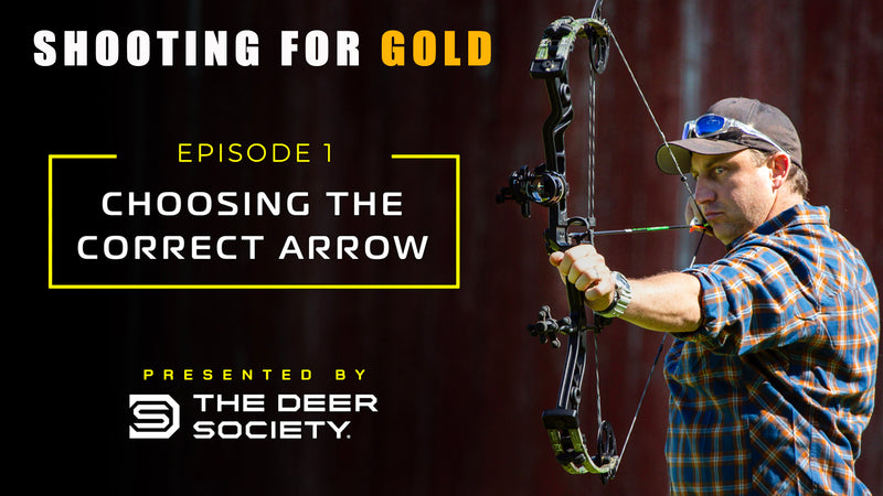 Shooting for Gold: Choosing the Correct Arrow (Ep.1)