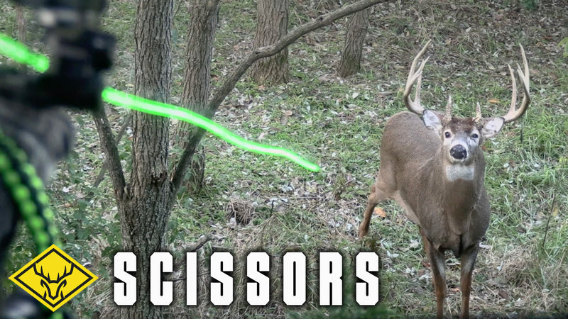 "SCISSORS" | 180" Giant Buck... 10 Yards and CLOSING!