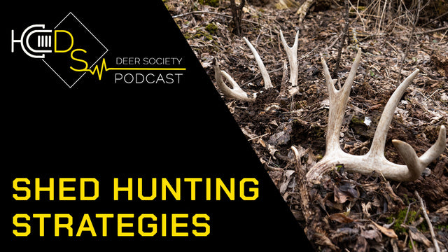 Shed Hunting 101 | HOW to find More Sheds this year...