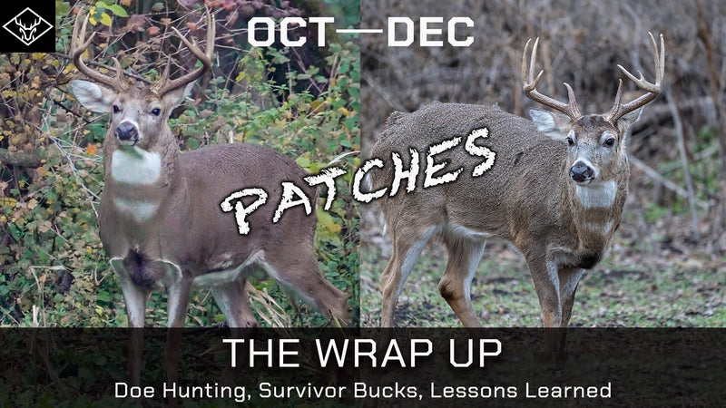 THE WRAP UP | Doe Hunts + SHED BUCKS + 3 Takeaways...