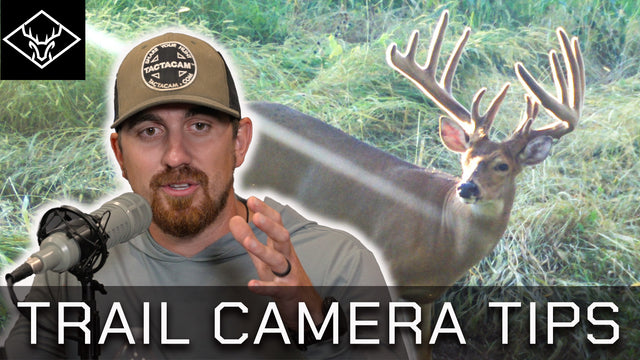 Trail Cameras 101 | Placement - Strategies - Tips - Tactics...