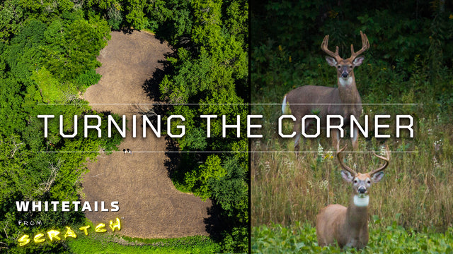 Turning the Corner: Whitetails from Scratch (Episode 3)