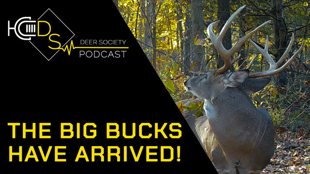 Pre-Rut Hunting Tactics | The Big Bucks have ARRIVED!