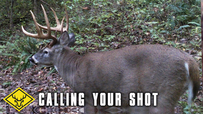 Calling Your Shot - Big OHIO Buck 20 yards and Closing...