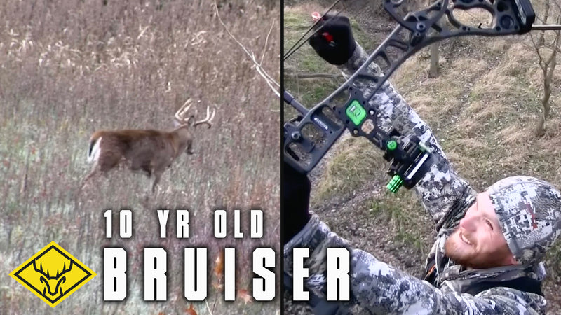 10yr. old Bruiser Buck | CRP + Does = Big Buck Down!