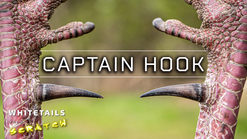 Captain Hook - The hunt for a LONG spurred 5-year old gobbler!