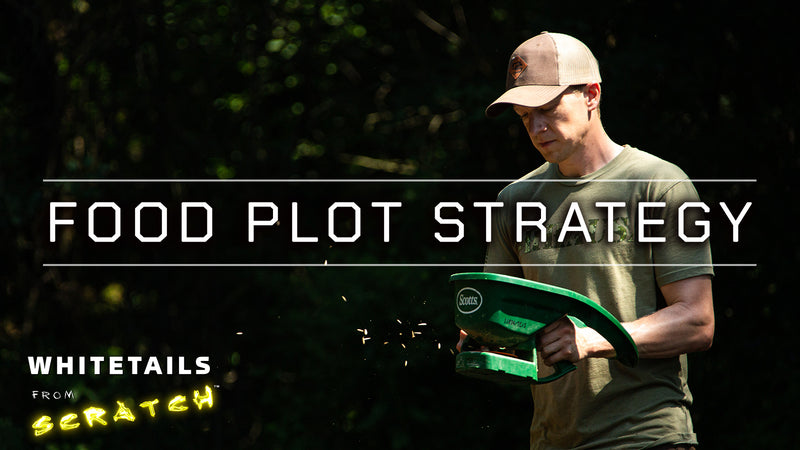 Food Plot Strategy: Choosing WHERE and WHAT to plant to attract Big Bucks!