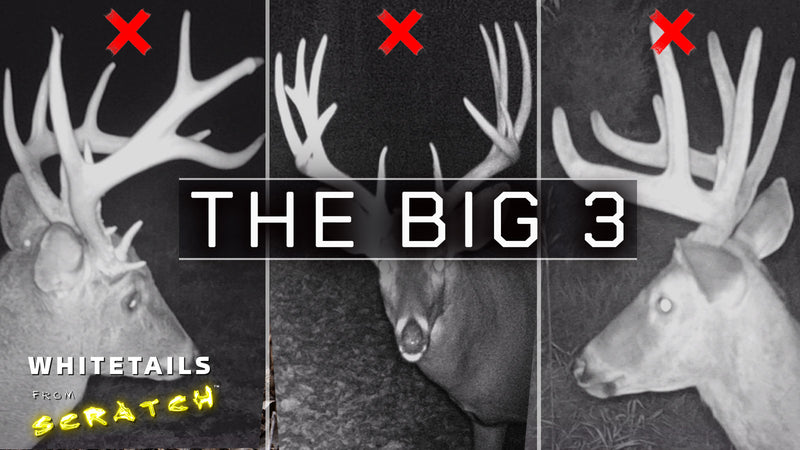 THE BIG 3 | Three bucks DOWN and a BIG change coming!