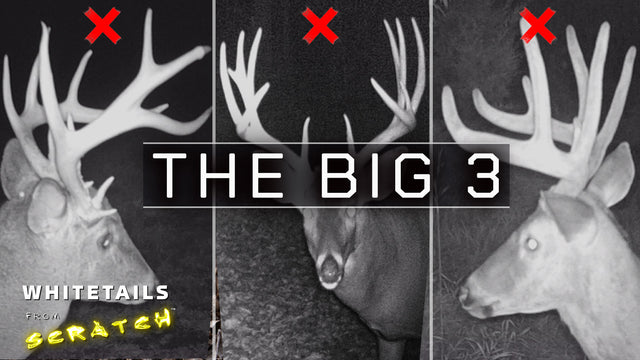THE BIG 3 | Three bucks DOWN and a BIG change coming!