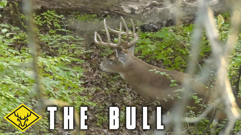 THE BULL | Closing in on a GIANT Ghost Buck.