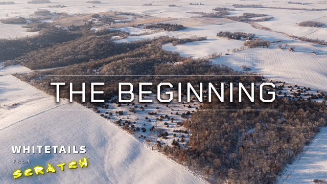 The Beginning: Whitetails from Scratch (Episode 1)
