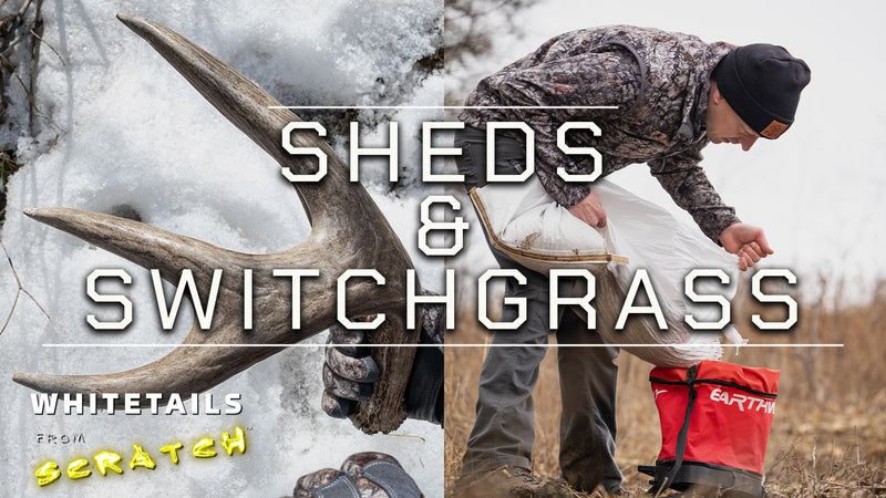 Sheds & Switchgrass | Hunt for BIG ANTLERS + Frost Seeding...