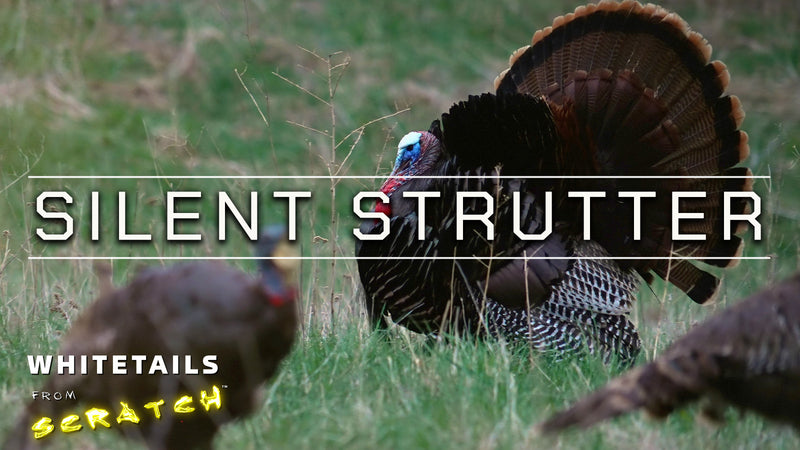 Turkey Hunting the IMAX! - SILENT STRUTTER closing in...
