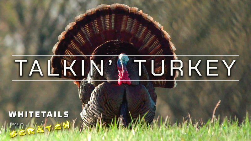 Talkin' Turkey! - Incoming Gobblers...